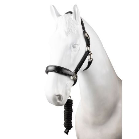 Licol en cuir et longe ensemble Horze Dynasty