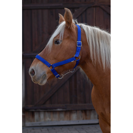 Licol Norton Pro pour cheval de trait