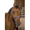 Licol Norton Reflective - Bleu
