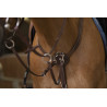 Collier de chasse Norton Pro Confort - Havane