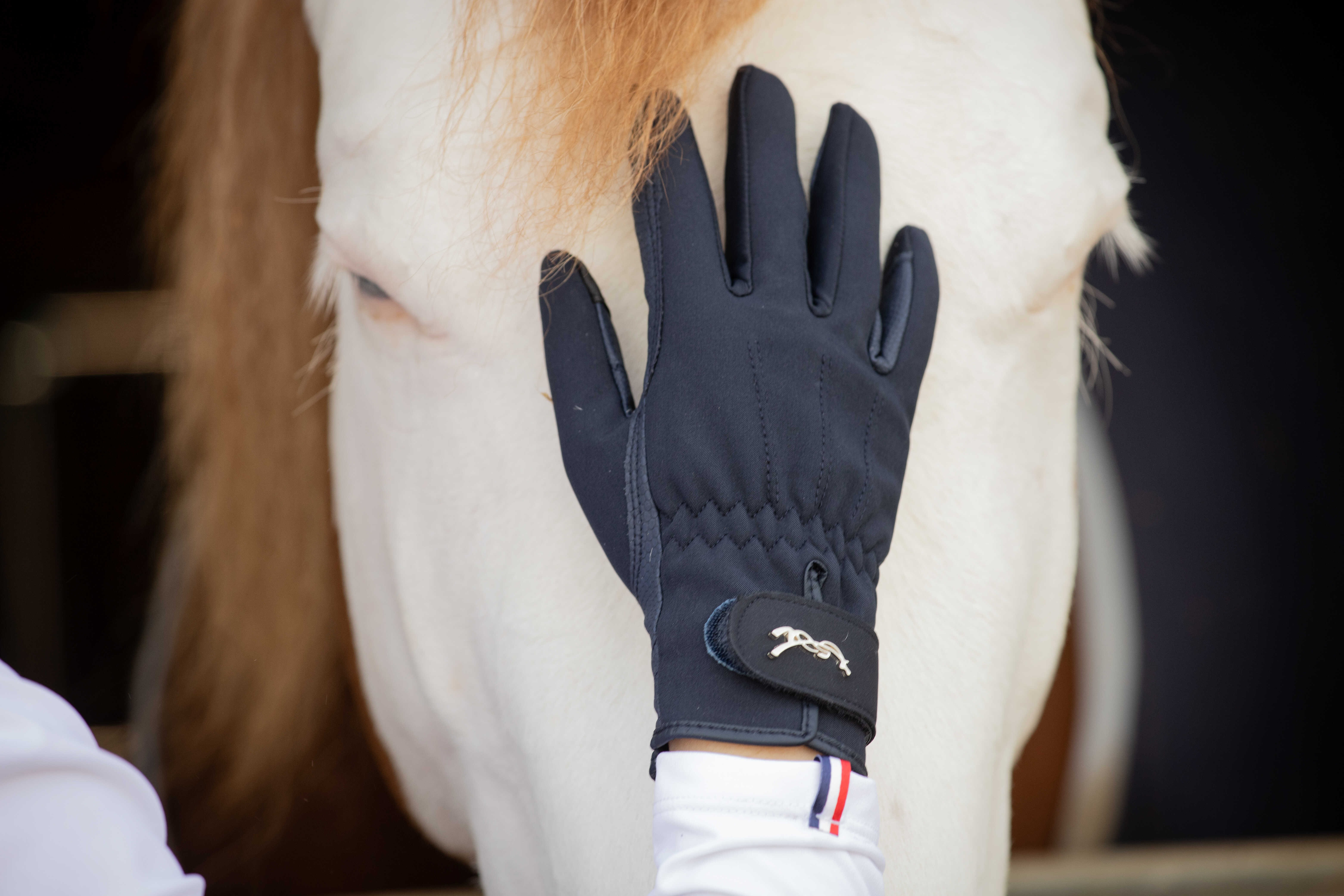 Pénélope Winter Handschoenen Zwart