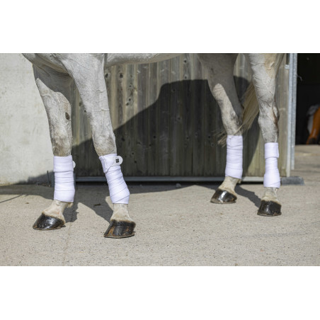 Bandes de polo Riding World Eco