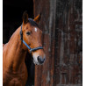 Nylon halster Equithème Domino - Blauw