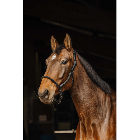 Leren/touw halster Norton