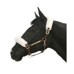 Set halsterbekleding Back On Track