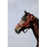 Licol Riding World Cushion - Rouge