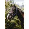 Nylon halster Equithème Protector - Zwart