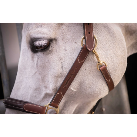 Licol cuir 3 mousquetons Paddock Sports