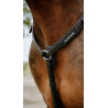 Collier de chasse Endurance Norton Pop - Noir