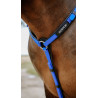 Collier de chasse Endurance Norton Pop - Bleu roi
