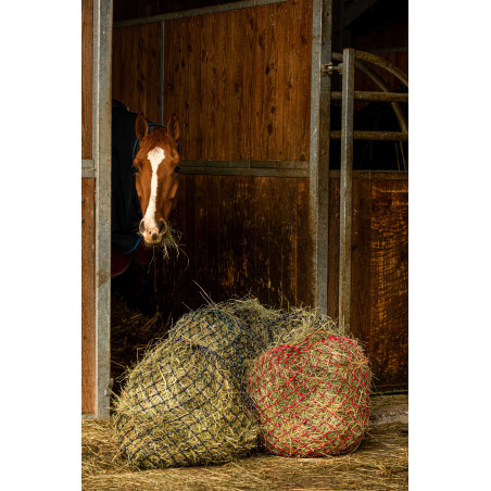 Hooinet Hippotonic Zari