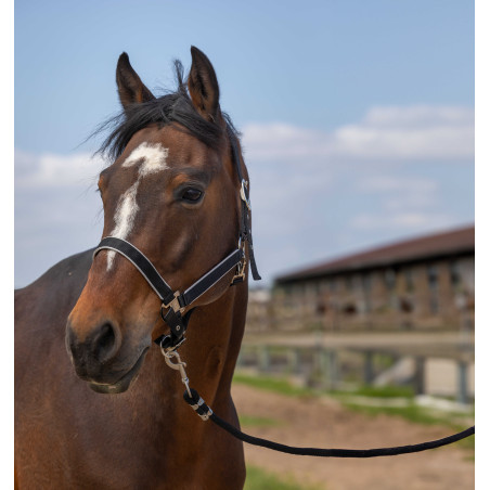Halster Equithème Nylon light
