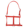 Halster veulen Riding World - Rood
