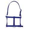Halster veulen Riding World - Koningsblauw