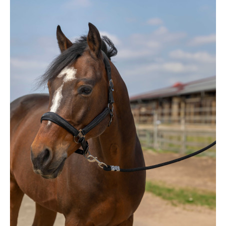 Halster Equithème Nylon Strass