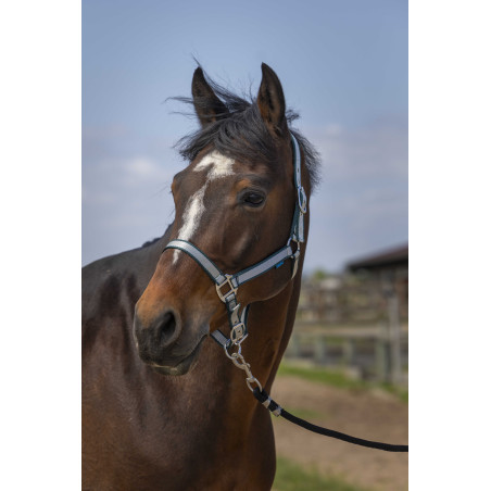 Licol Norton Nylon Soft