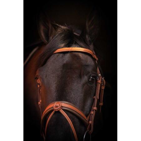 Bridon Pénélope Elegantie