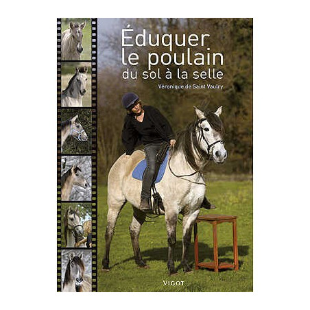 Éduquer le poulain du sol à la selle