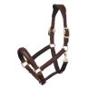 Licol LeMieux Anatomic - Marron