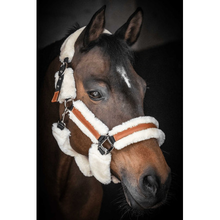 Halster Pénélope Soft