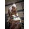 Halsband voor hond Pénélope Pearl - Zwart / wit
