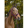 Halster + lijn Equitheme Satiné - Marine / fuchsia