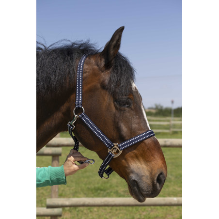 Licol Norton Grooming