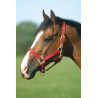 Halster Equithème Nylon - Rood