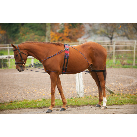 Enrênement à poulies Norton