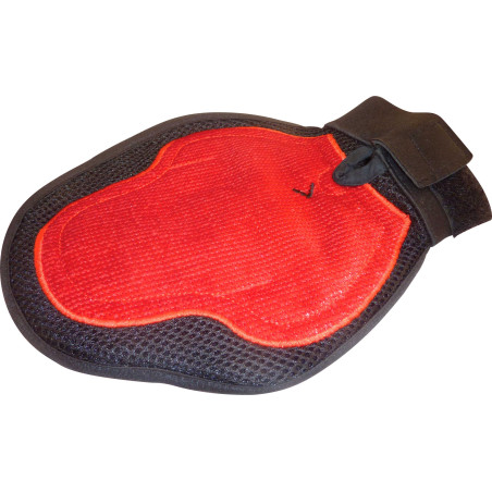 Gant de pansage/étrille