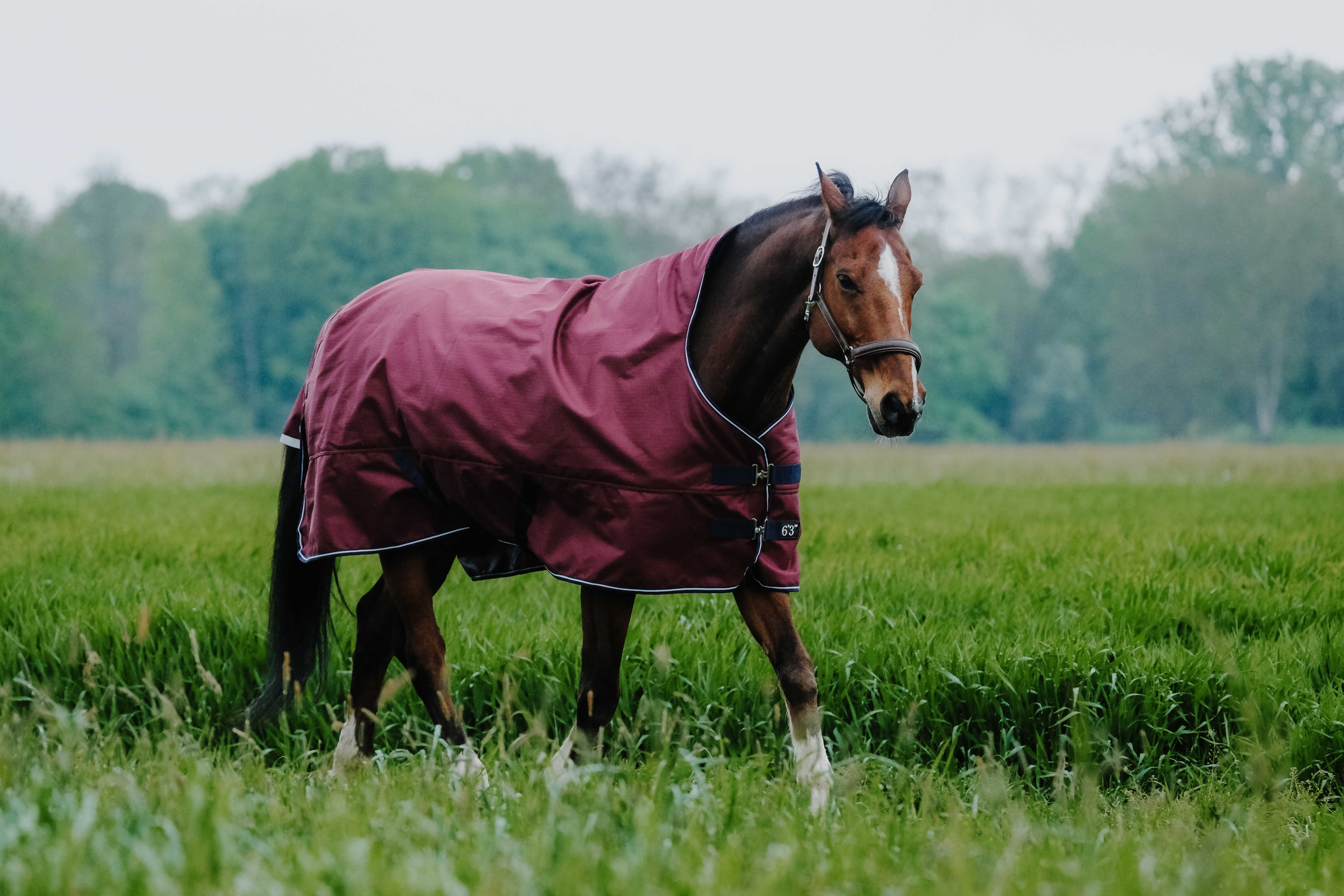 Equithème Tyrex 1200 D High Neck deken Marine / bordeaux Blauw