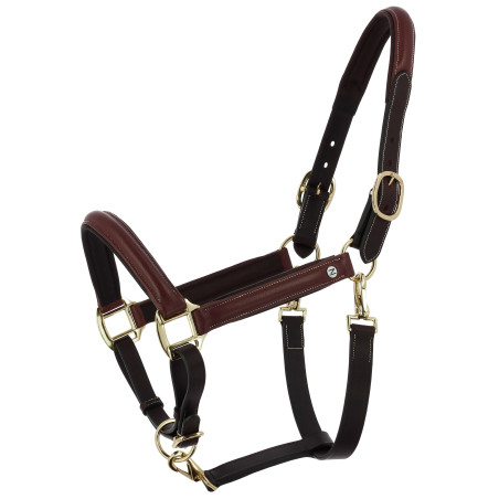 Norton Spring geoliede lederen poetsen halster