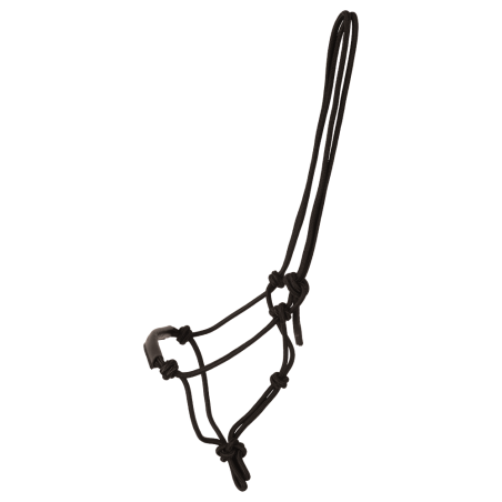 Licol en corde Kentucky