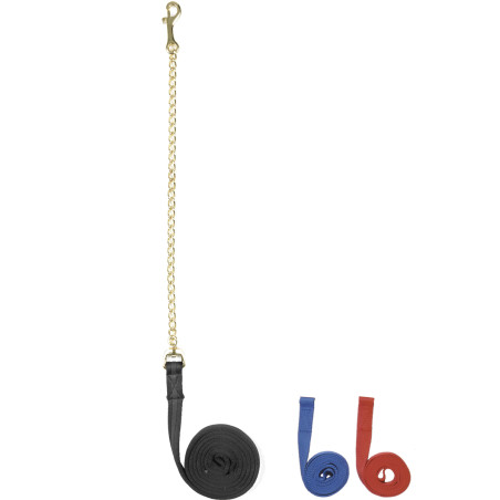 Longeerlijn Daslö met ketting