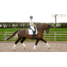 Tapis LeMieux Reflective Suede Dressage Square - Blanc