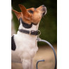 Halsband voor hond Pénélope Olie - Havana
