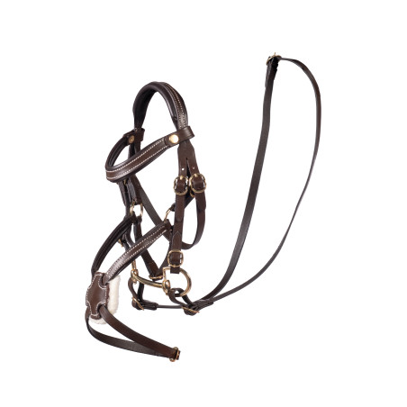 Bridon mexicain HKM Hobby Horse