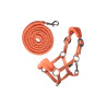 Halster met fleece HKM Hobby Horse - Oranje