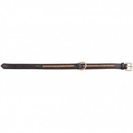 Collier Pour Chien Strass T de T