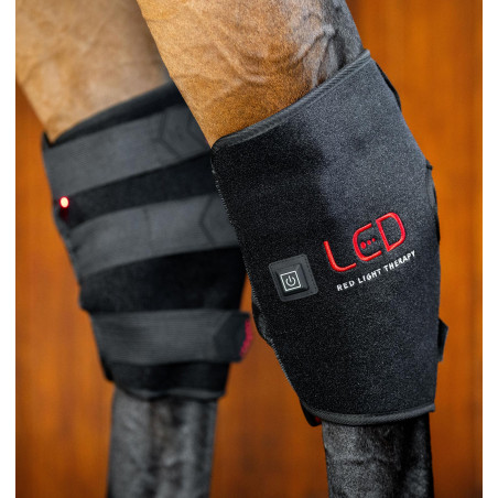 Horseware LED roodlicht therapeutische spronggewricsbeschermers