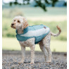 Couverture polaire Horseware Newmarket pour chien - Witney dynasty