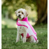 Couverture polaire Horseware Newmarket pour chien - Rose witney