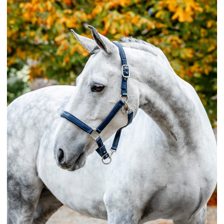 Horseware poetshalster