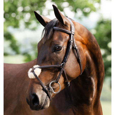 Grackle hoofdstel in 8-vorm Horseware gekruiste neusriem