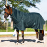 Couverture de paddock Imperial Riding Basic avec couvre-cou amovible 300gr - Vert