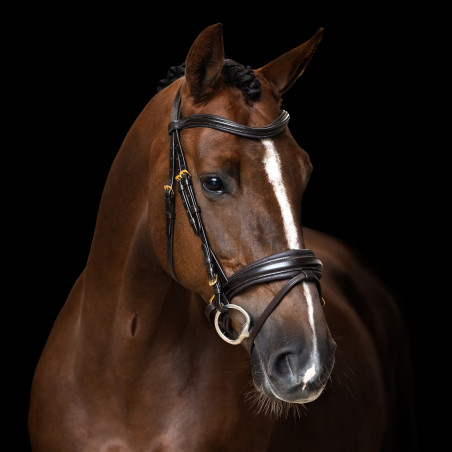 Engelse hoofdstel Imperial Riding gecombineerde Sleek