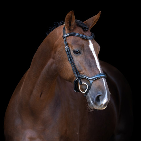 Bridon Imperial Riding avec muserolle combinée ergonomique basse