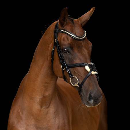 Bridon muserolle mexicaine Imperial Riding