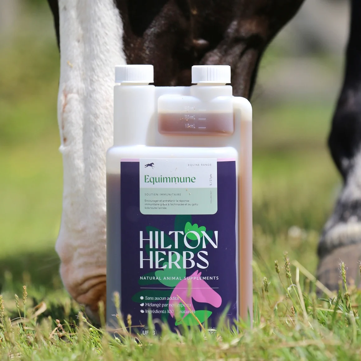 Equimmune Gold Hilton Herbs Equimmune Gold Hilton Herbs