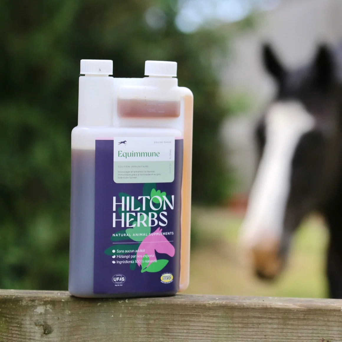 Equimmune Gold Hilton Herbs Equimmune Gold Hilton Herbs